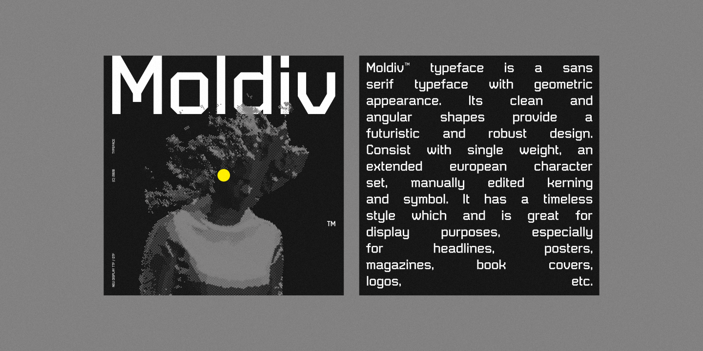 Moldiv
